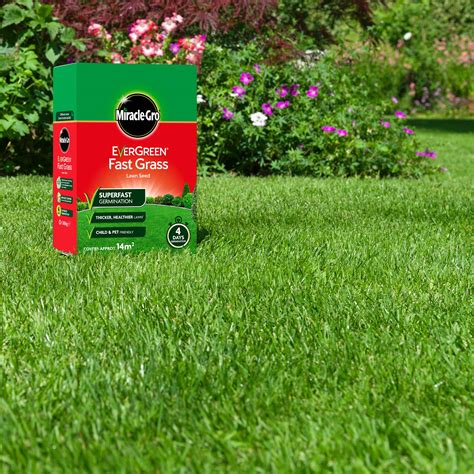Enhance the Appearance of Your Landscape with Black Magic Grass Seed